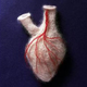 Illustration for article titled A Soft Heart